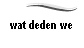 wat deden we