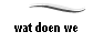 wat doen we