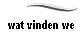 wat vinden we