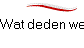 Wat deden we