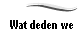 Wat deden we
