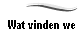 Wat vinden we